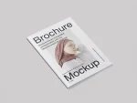 موکاپ Folded Brochure