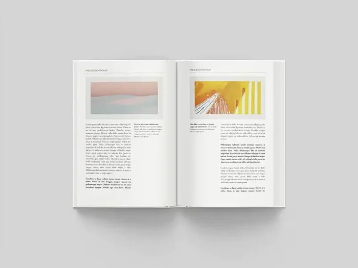 موکاپ FREE BOOK